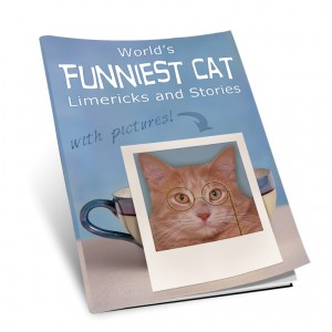FUNNIEST CAT LIMERICKS COVER at http://bookwritingmagic.com/catbook