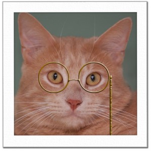 Cat Limerick Glasses